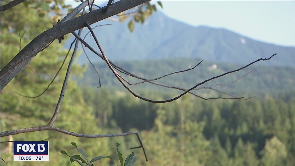 Possible Laundrie sighting in North Carolina